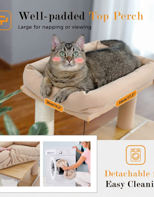 Load image into Gallery viewer, Cat Tree 35 Inches Wooden Cat Tower with Double Condos, Spacious Perch, Fully Wrapped Scratching Sisal Posts and Replaceable Dangling Balls-Walnut
