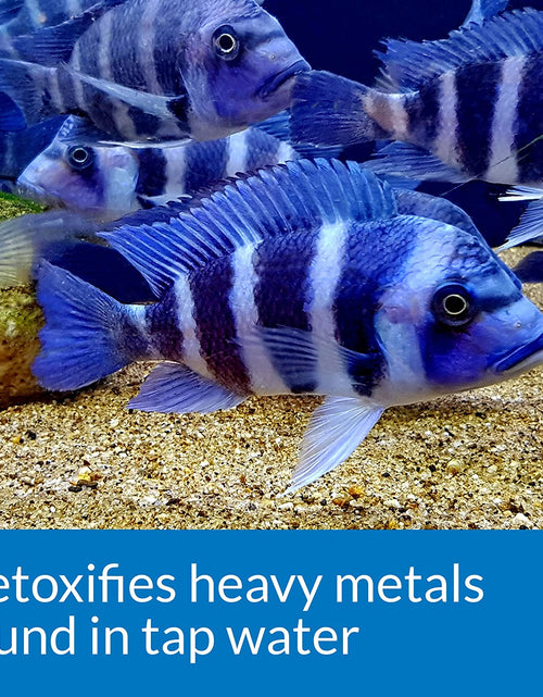 Load image into Gallery viewer, TAP Water Conditioner, Instantly Neutralizes Chlorine, Chloramines and Other Chemicals to Make Tap Water Safe for Fish, Highly Concentrated, Use When Adding or Changing Water and When Adding Fish
